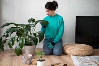 Building for Health: Enhancing Indoor Air Quality in Construction 2 woman changing pots her plants